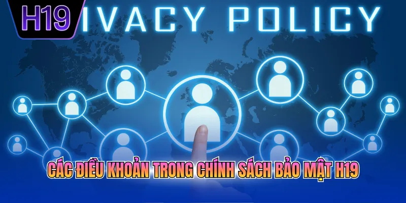 Các điều khoản trong chính sách bảo mật H19