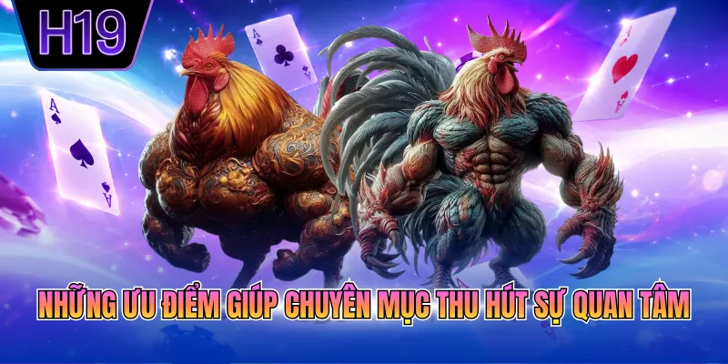 Những ưu điểm giúp chuyên mục thu hút sự quan tâm
