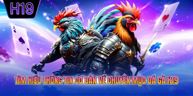 Tìm hiểu thông tin cơ bản về chuyên mục đá gà H19