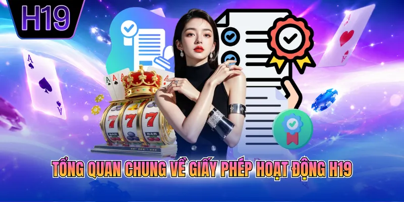 Tổng quan chung về giấy phép hoạt động H19
